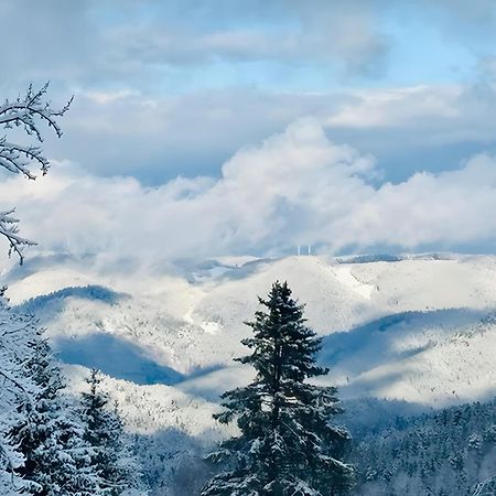 트리베르크 Schwarzwald Nescht Triberg 아파트 외부 사진