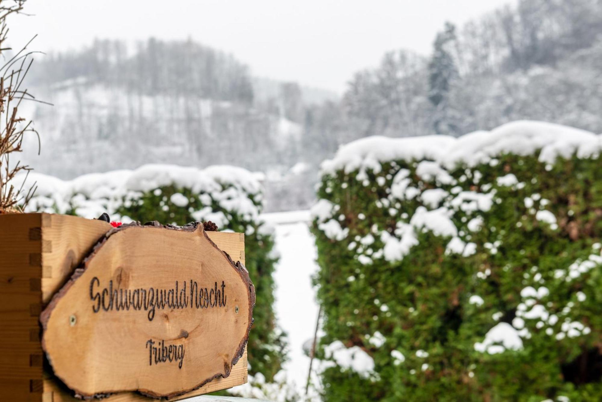 트리베르크 Schwarzwald Nescht Triberg 아파트 외부 사진