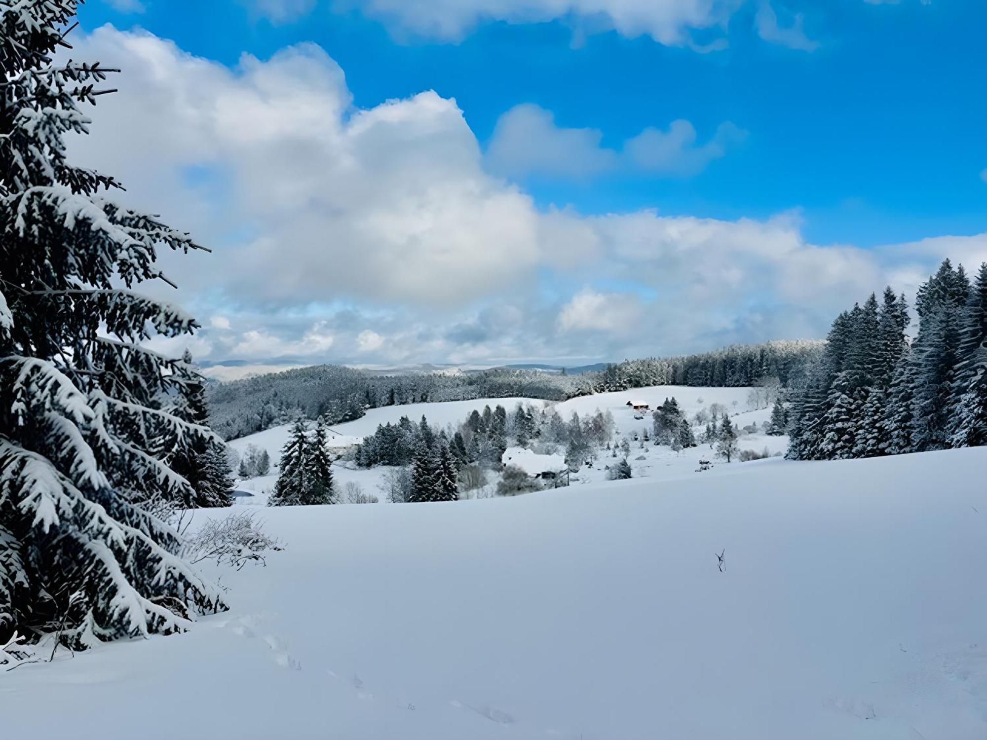 트리베르크 Schwarzwald Nescht Triberg 아파트 외부 사진