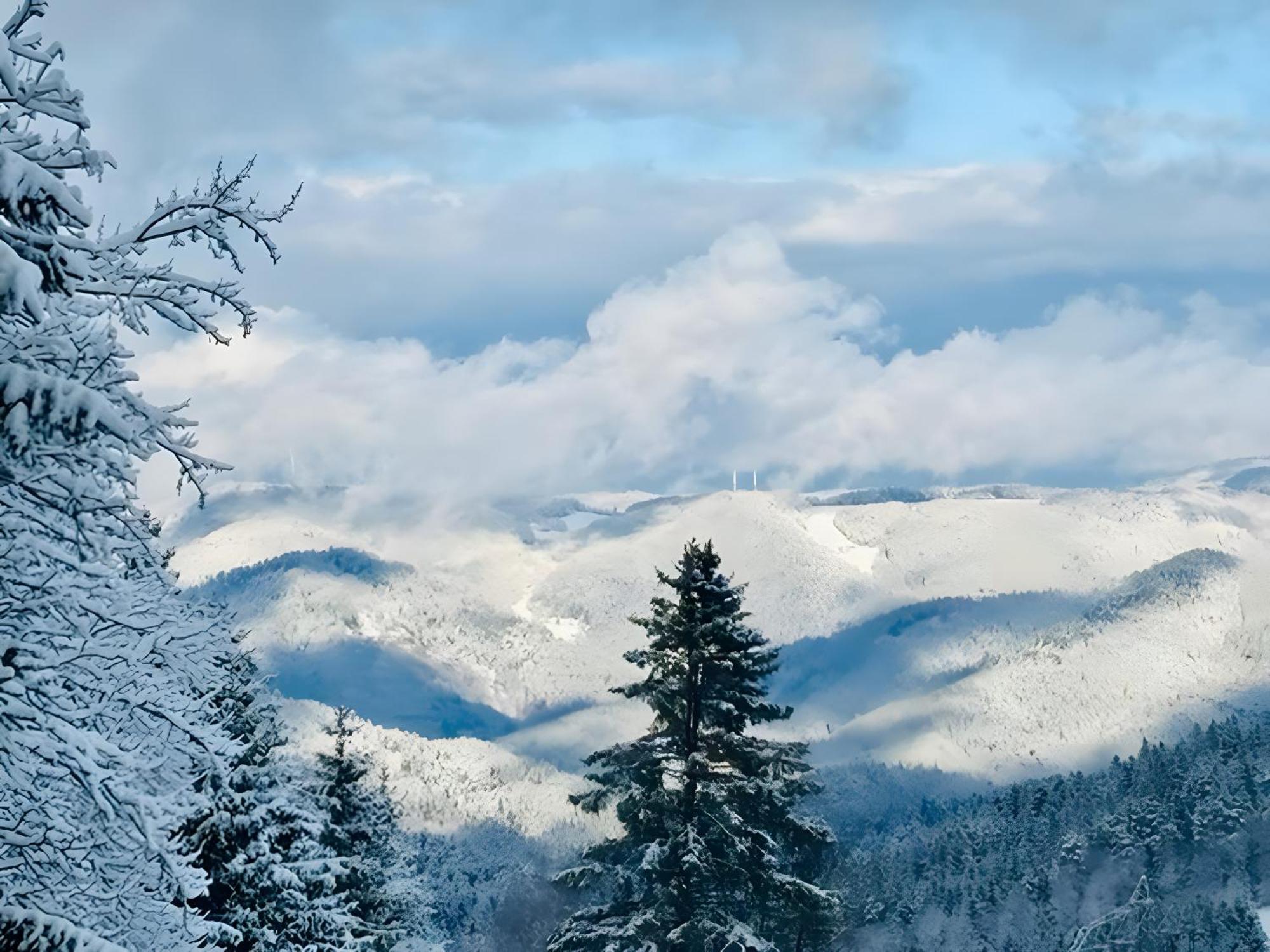 트리베르크 Schwarzwald Nescht Triberg 아파트 외부 사진